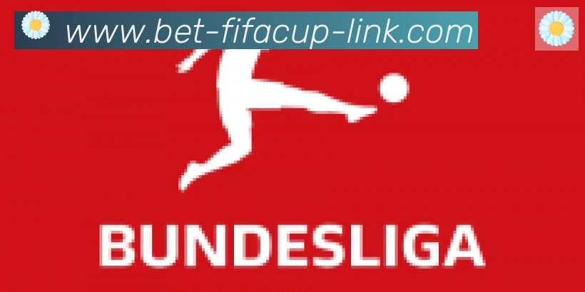 FIFA世界杯投注入口合作伙伴